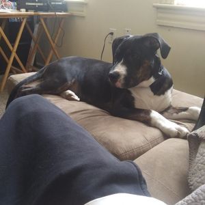 Meet your Posher, Alex